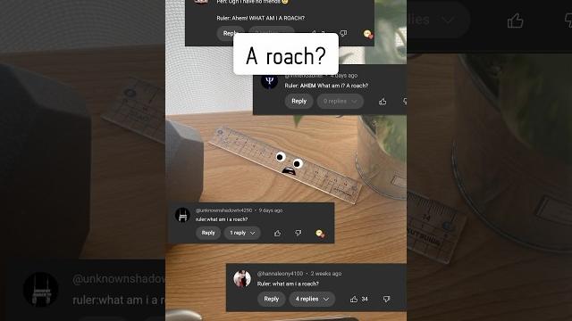 Ruler: what am i? a roach?🪳 Ruler: what am i? a roach?🪳