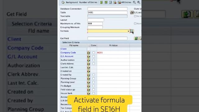 How to activate the formula field in se16h How to activate the formula field in se16h