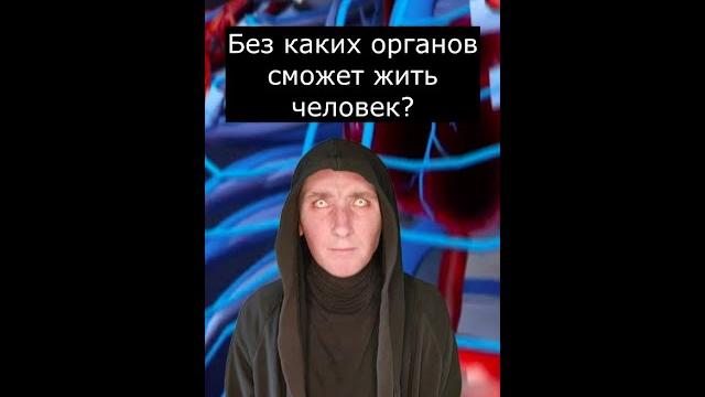 Без каких органов сможет жить человек Без каких органов сможет жить человек