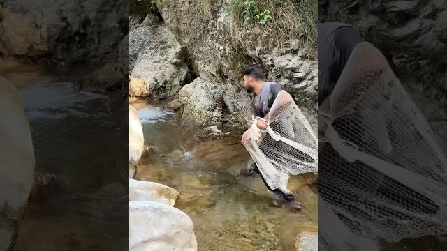 Hidden waterfall found while net fishing in crystal clear mountain stream! #shorts #uk trending Hidden waterfall found while net fishing in crystal clear mountain stream! #shorts #uk trending