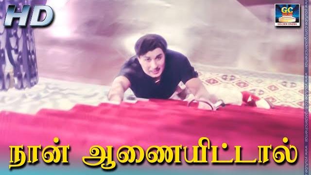 Naan aanaiyitaal mgr song hd | நான் ஆணையிட்டால் |enga veettu pillai | vaali| mgr | philosophy song. Naan aanaiyitaal mgr song hd | நான் ஆணையிட்டால் |enga veettu pillai | vaali| mgr | philosophy song.