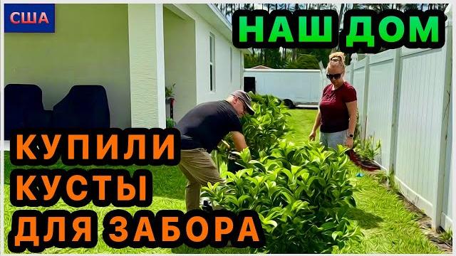 Купили кусты для зелёного забора. подготовили комнату для гостей. покупки для ванной комнаты. сша Купили кусты для зелёного забора. подготовили комнату для гостей. покупки для ванной комнаты. сша