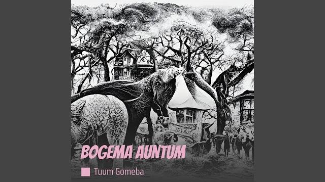 Bogema auntum Bogema auntum