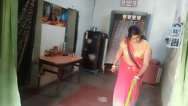 Saree vlog housewife busy routine in saree wear //cleaning vlog meet the new member of my house Saree vlog housewife busy routine in saree wear //cleaning vlog meet the new member of my house