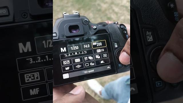 Best canon 200d mark ii with 55-250mm lens background blur camera setting #photography #background Best canon 200d mark ii with 55-250mm lens background blur camera setting #photography #background