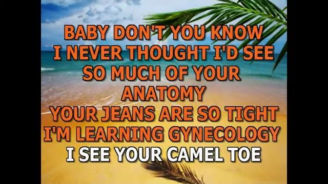 Camel toe song - matt roush (bob & tom show) Camel toe song - matt roush (bob & tom show)