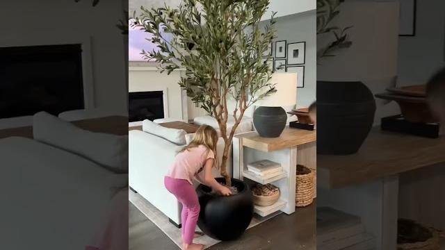 Our favorite faux amazon olive tree! #amazonfind #homedecor #affordabledecor #amazonhome #viralvideo Our favorite faux amazon olive tree! #amazonfind #homedecor #affordabledecor #amazonhome #viralvideo