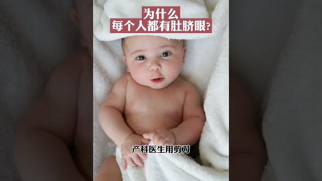为什么每个人都有肚脐眼? 为什么每个人都有肚脐眼?