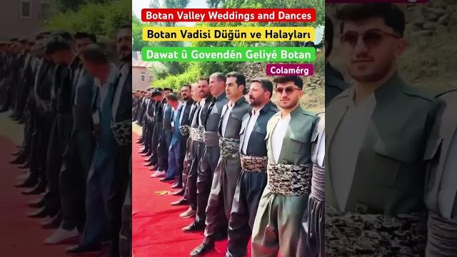 Kurdish wedding music dance folklore colorful and traditional clothing #halay #dance #düğün #wedding Kurdish wedding music dance folklore colorful and traditional clothing #halay #dance #düğün #wedding