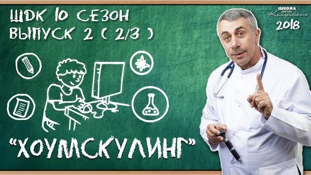 Хоумскулинг (домашнее обучение) - доктор комаровский Хоумскулинг (домашнее обучение) - доктор комаровский