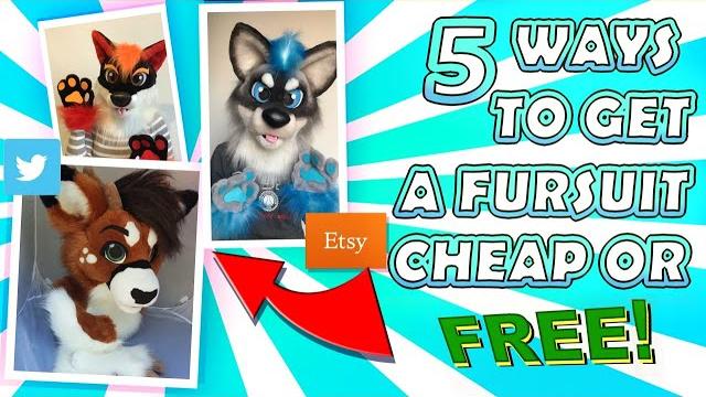 5 ways to get a fursuit cheap or for free 5 ways to get a fursuit cheap or for free