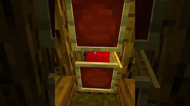 Minecraft fake door #minecraft #shorts Minecraft fake door #minecraft #shorts