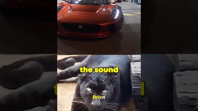 This car sounds exactly like jaguar This car sounds exactly like jaguar
