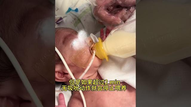 给宝宝喂奶 给宝宝喂奶
