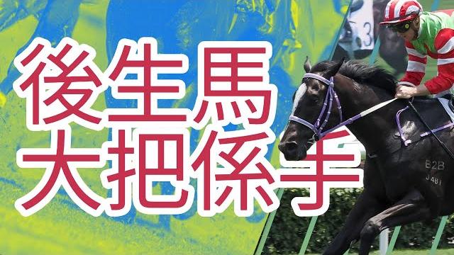 【馬迷誌】馬匹後生又優質 搭配過關點都得|5月25日 第十一場三班1400米|沙田日賽|24-25賽季 #金牌活力 #遮打盃 #喜尊龍 #遨遊氣泡 #thevigor #洺城會 #森立演藝 【馬迷誌】馬匹後生又優質 搭配過關點都得|5月25日 第十一場三班1400米|沙田日賽|24-25賽季 #金牌活力 #遮打盃 #喜尊龍 #遨遊氣泡 #thevigor #洺城會 #森立演藝
