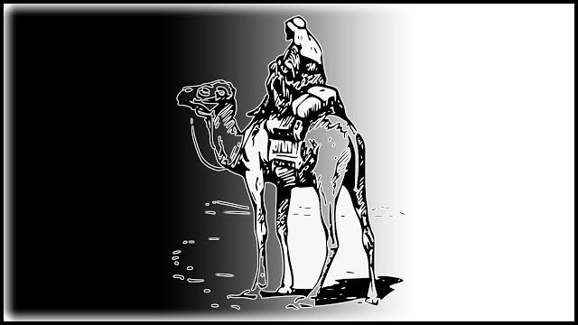 The dark side of the silk road The dark side of the silk road