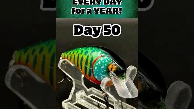 Day 50 - custom lure painting - one year challenge #baitmaking #handmadelure #fishing #diy #howto Day 50 - custom lure painting - one year challenge #baitmaking #handmadelure #fishing #diy #howto