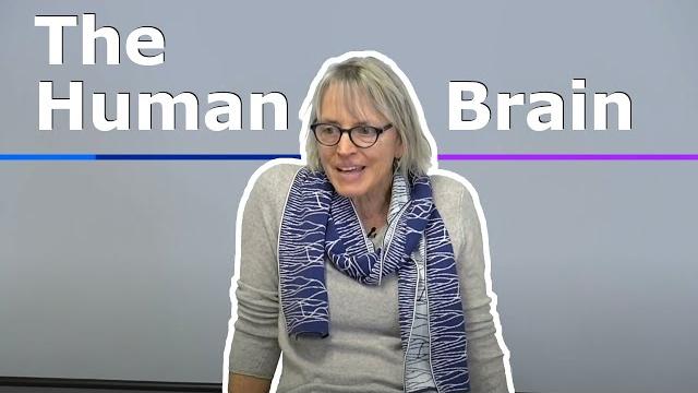 1. introduction to the human brain 1. introduction to the human brain
