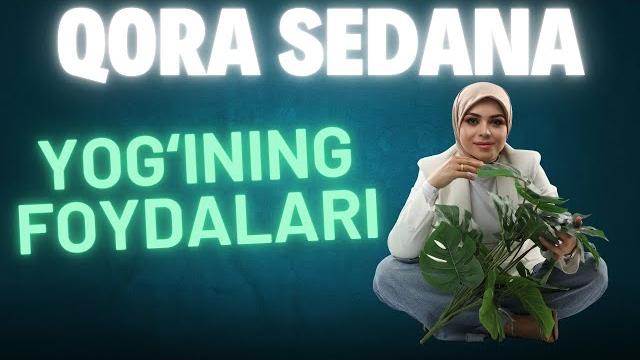 Qora sedana yogʻining foydalari Qora sedana yogʻining foydalari