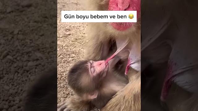 Emzirme dönemi anneler Emzirme dönemi anneler