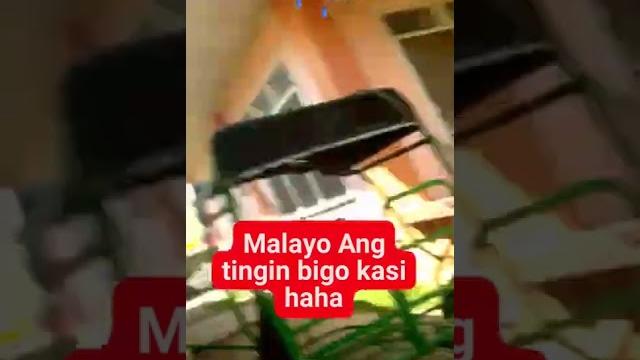 Bigo sya Bigo sya