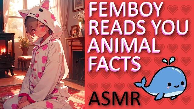 Femboy tells u interesting animal facts by the fireplace~ asmr only whispering fast sleep aid Femboy tells u interesting animal facts by the fireplace~ asmr only whispering fast sleep aid