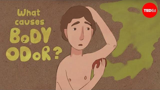 What causes body odor? - mel rosenberg What causes body odor? - mel rosenberg