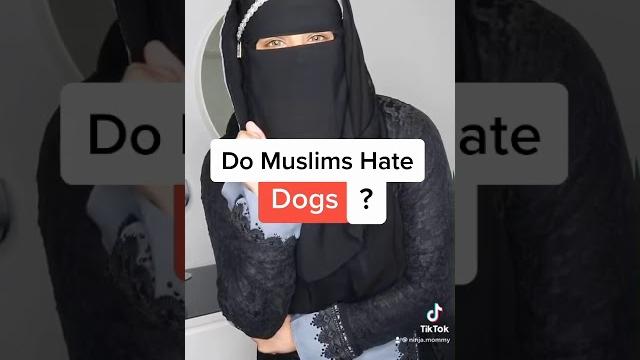 Do muslims hate dogs? #shorts Do muslims hate dogs? #shorts