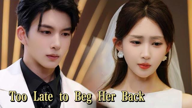 She was just a target in his cruel love trap… until she erased everything and made him beg! She was just a target in his cruel love trap… until she erased everything and made him beg!