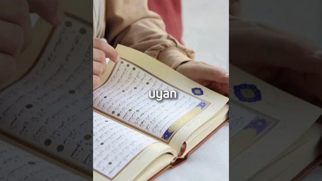 Uyan! Uyan!