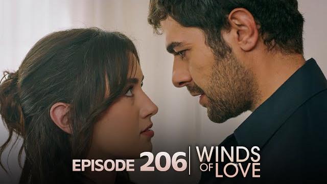 Rüzgarlı tepe 206. bölüm | winds of love episode 206 Rüzgarlı tepe 206. bölüm | winds of love episode 206