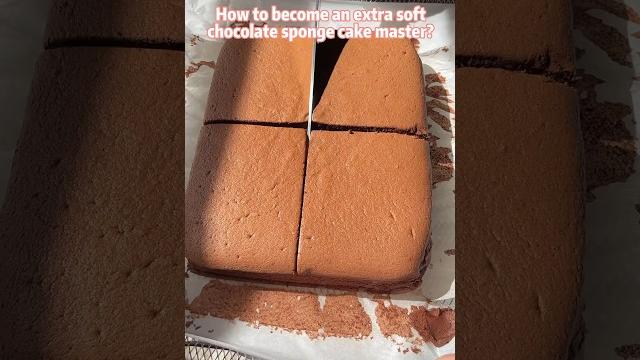 Chocolate sponge cake (“duang duang” soft like cloud ️) Chocolate sponge cake (“duang duang” soft like cloud ️)