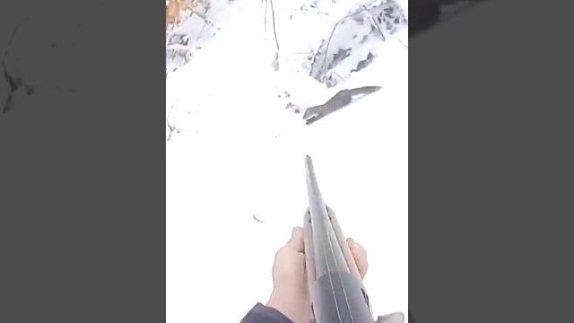 «в прицеле: мое путешествие по охоте на лис» #охота#huntingrussia#wildhunting#wildlife#foxhunting# «в прицеле: мое путешествие по охоте на лис» #охота#huntingrussia#wildhunting#wildlife#foxhunting#