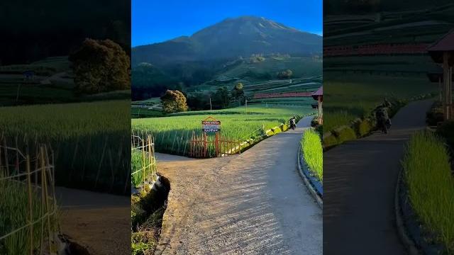 Sukomakmur kajoran kab magelang Sukomakmur kajoran kab magelang