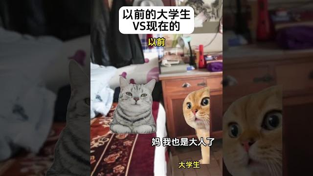 以前的大学生vs现在的大学生#猫meme #内容过于真实 #funny 以前的大学生vs现在的大学生#猫meme #内容过于真实 #funny
