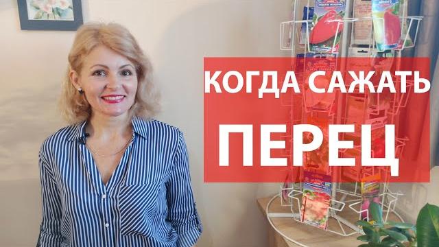 Как сеять перец на рассаду 2021 Как сеять перец на рассаду 2021