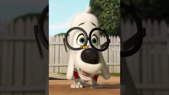 Самая умная собака в мире #shorts #фильм Самая умная собака в мире #shorts #фильм