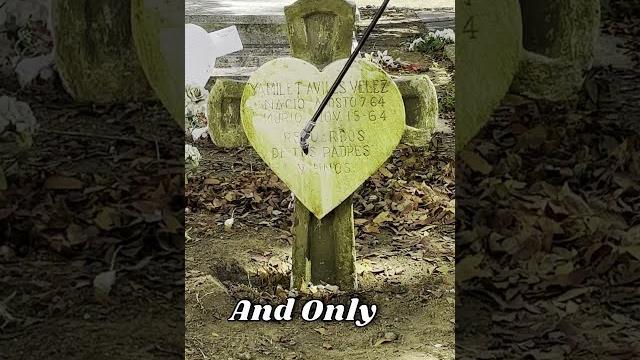 Cleaning a destroyed baby's grave for free Cleaning a destroyed baby's grave for free