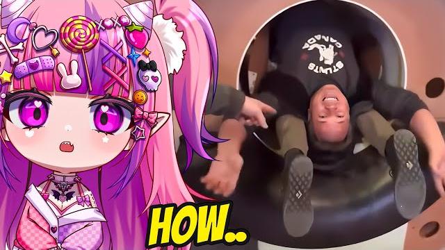 Ironmouse's weekly dose of internet! Ironmouse's weekly dose of internet!