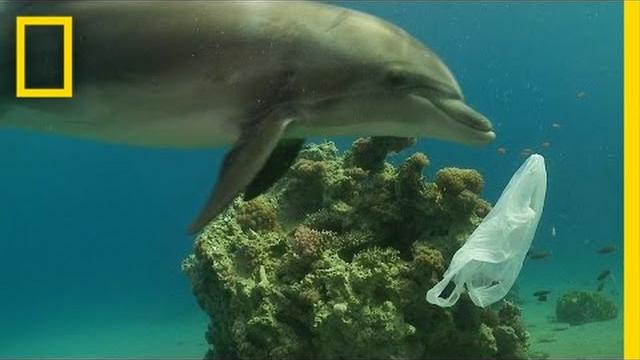 How we can keep plastics out of our ocean | national geographic How we can keep plastics out of our ocean | national geographic