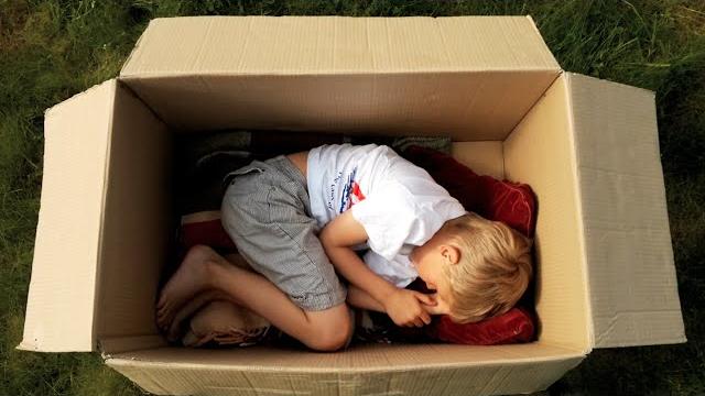The adventures of a cardboard box The adventures of a cardboard box