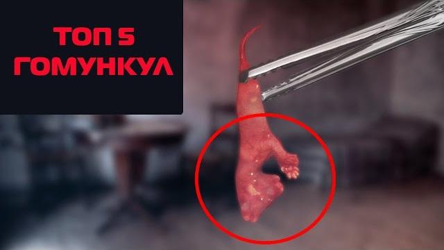 5 гомункул покоривших ютуб 5 гомункул покоривших ютуб