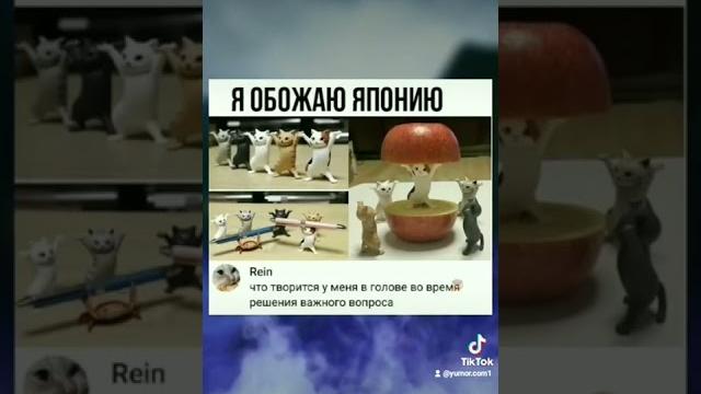 #мемы #юмор#пози #мемы #юмор#пози