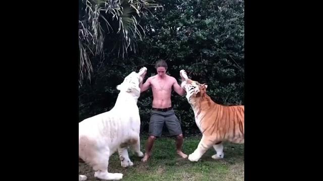 Tarzan,现实版本的【人猿泰山】 #旅行 #travel #熱門 Tarzan,现实版本的【人猿泰山】 #旅行 #travel #熱門