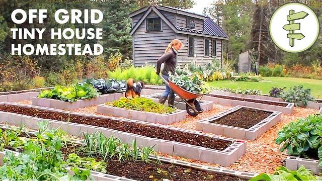 Living off-grid on a tiny house homestead for 6 years Living off-grid on a tiny house homestead for 6 years