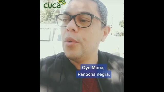 La panocha La panocha