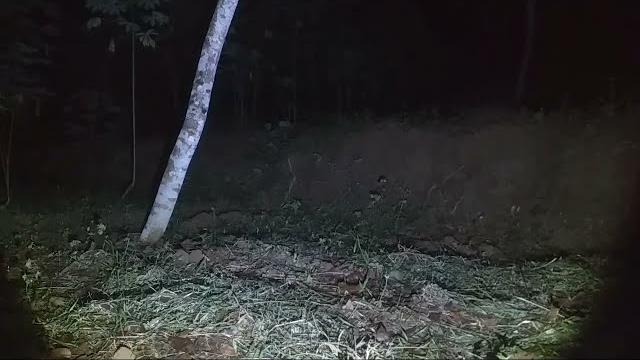 Live misteri malam jumat wage Live misteri malam jumat wage