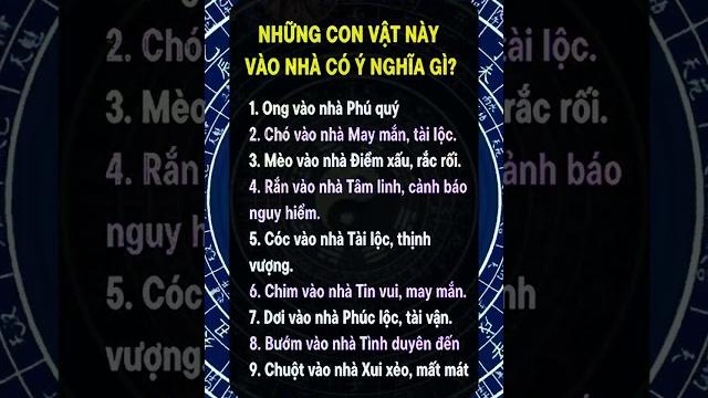 Giải mã lá số tử vi chuẩn nhất 2025 khai mở cung tài bạch cách dẫn lộc vào nhà đổi đời từ phong thủy Giải mã lá số tử vi chuẩn nhất 2025 khai mở cung tài bạch cách dẫn lộc vào nhà đổi đời từ phong thủy