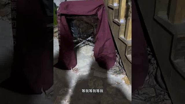 和魅魔去密室? short 2 和魅魔去密室? short 2