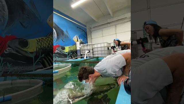 I got knocked out by a fish I got knocked out by a fish